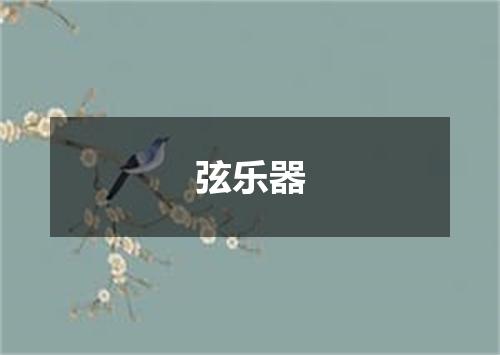 弦乐器