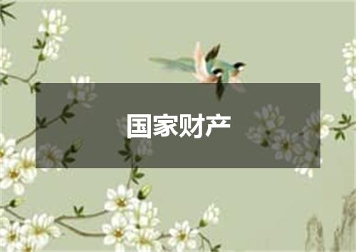 国家财产