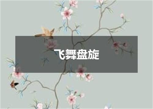 飞舞盘旋