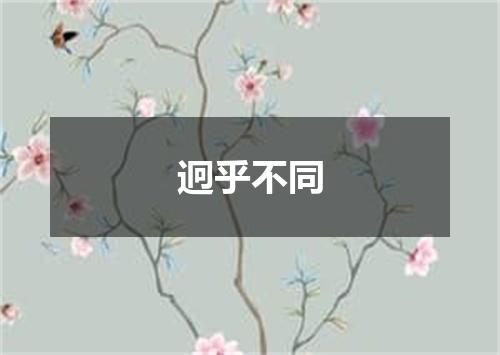 迥乎不同