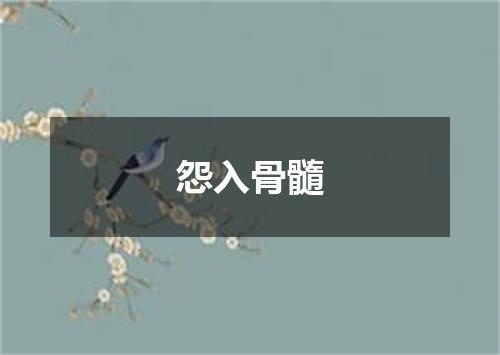 怨入骨髓