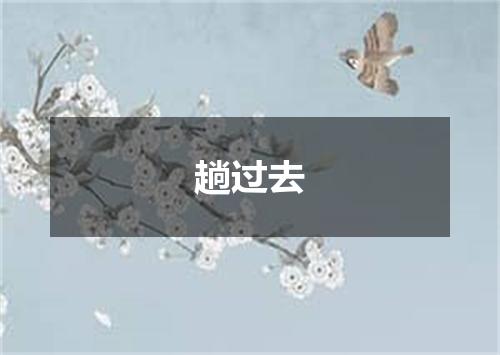 趟过去