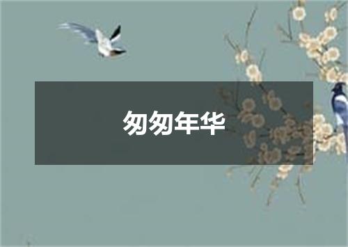 匆匆年华