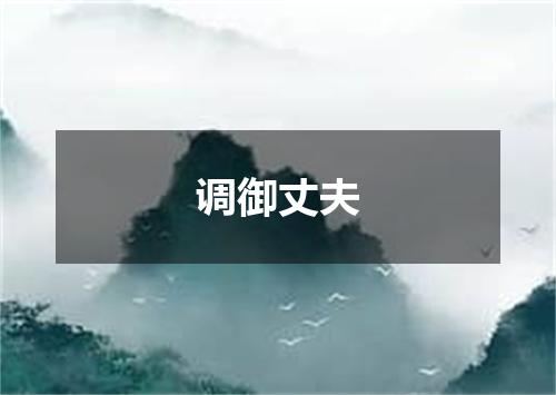 调御丈夫
