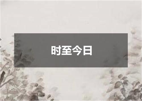 时至今日