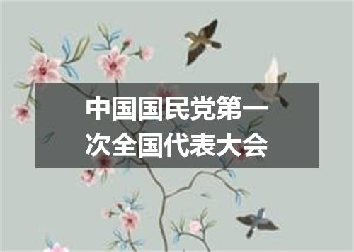 中国国民党第一次全国代表大会