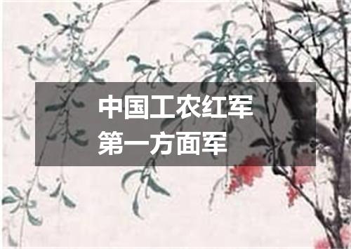中国工农红军第一方面军