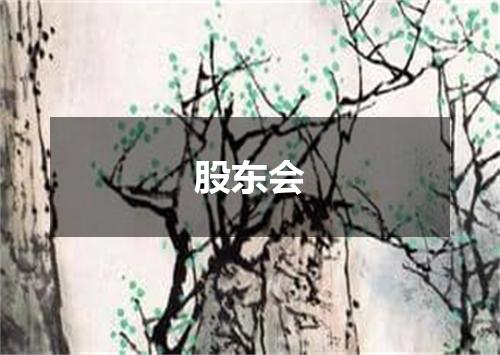 股东会