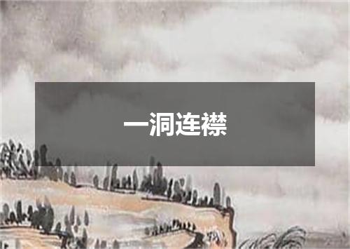 一洞连襟