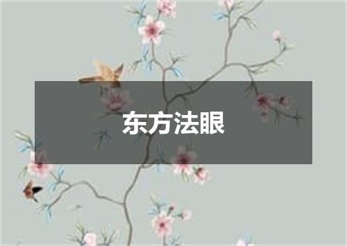 东方法眼