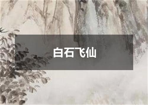 白石飞仙