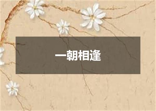 一朝相逢