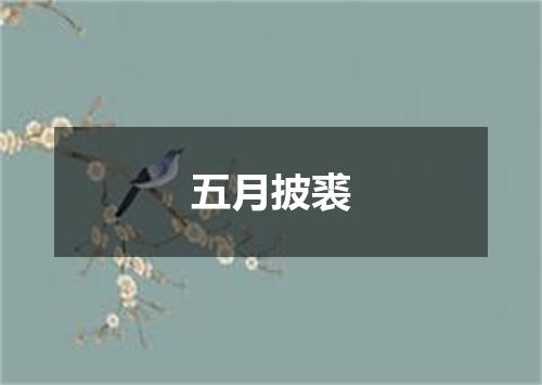 五月披裘