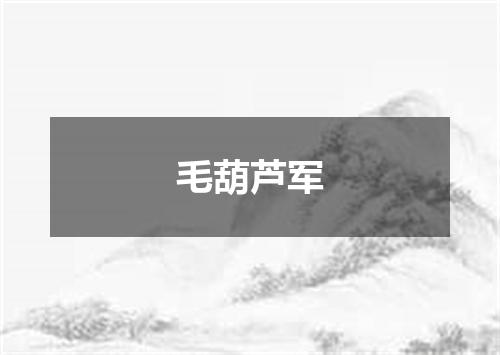 毛葫芦军