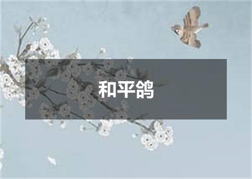 和平鸽