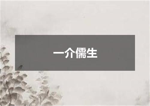 一介儒生
