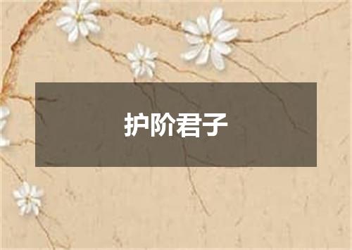 护阶君子