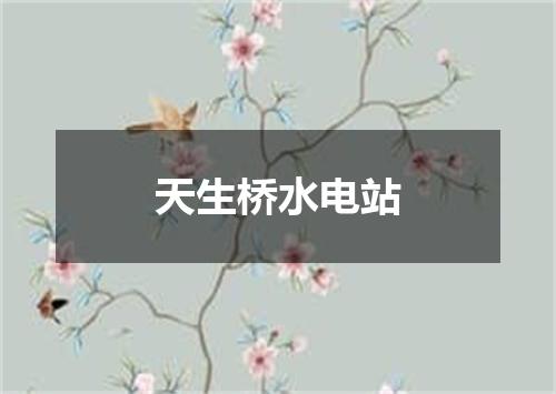 天生桥水电站