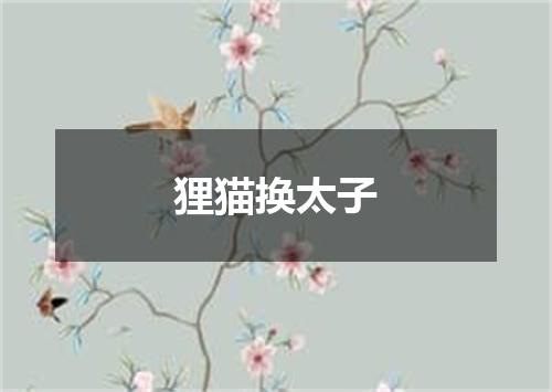狸猫换太子