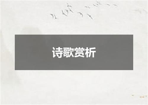 诗歌赏析