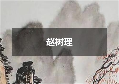 赵树理