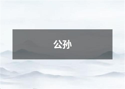 公孙