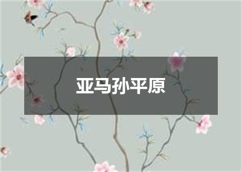 亚马孙平原