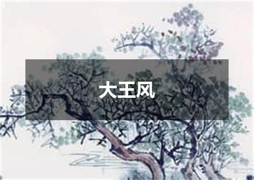 大王风