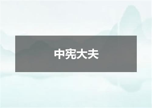 中宪大夫
