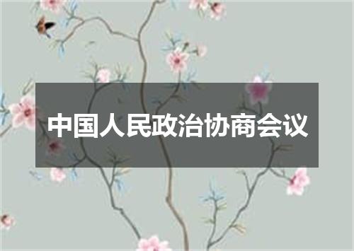 中国人民政治协商会议