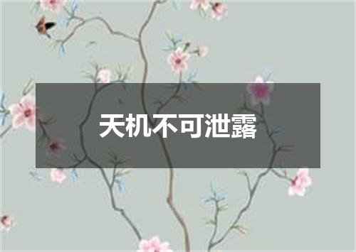 天机不可泄露