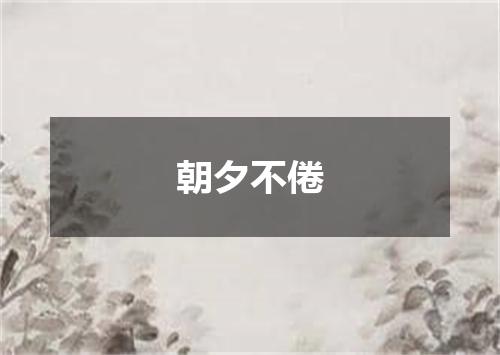 朝夕不倦
