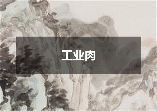 工业肉