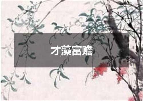 才藻富赡