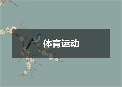 体育运动
