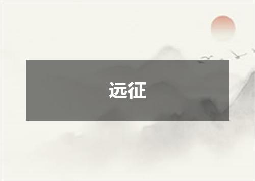 远征