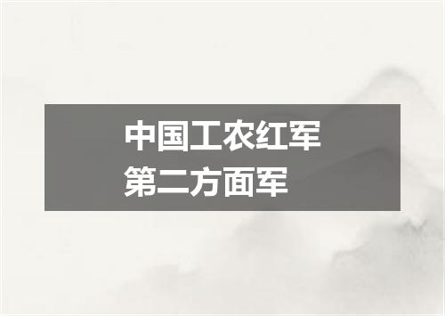 中国工农红军第二方面军