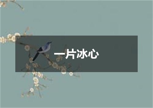 一片冰心