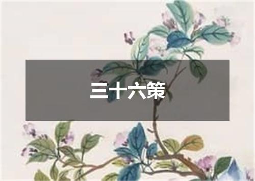 三十六策