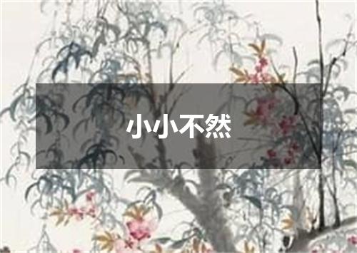 小小不然
