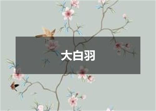 大白羽