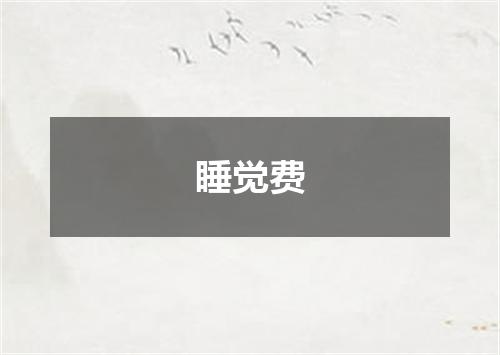 睡觉费
