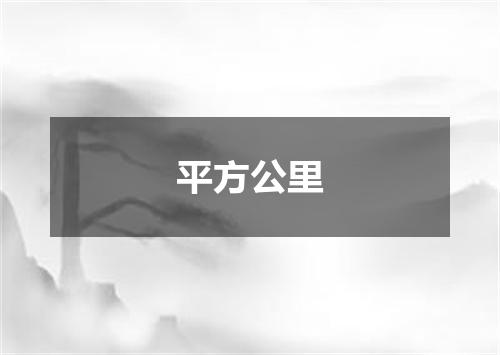 平方公里