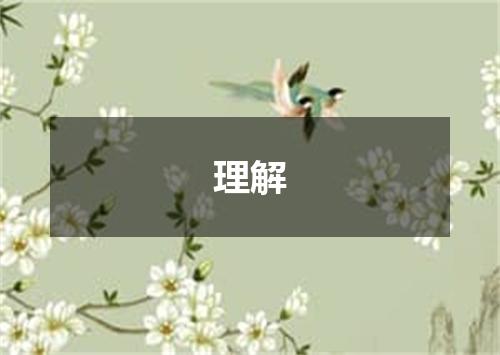 理解