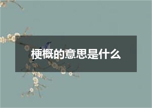 梗概的意思是什么