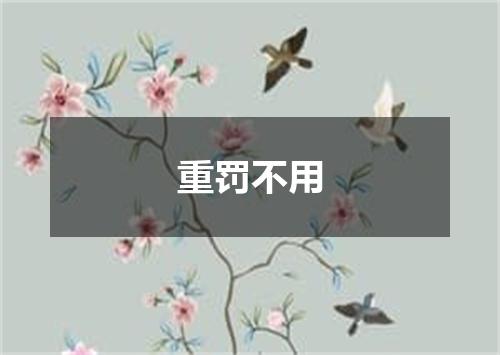 重罚不用