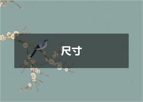 尺寸