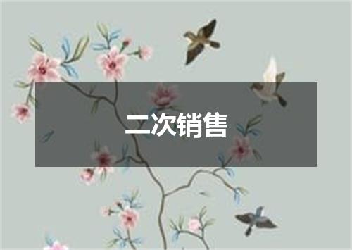 二次销售