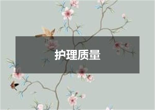 护理质量