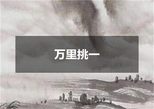 万里挑一